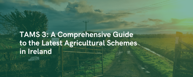 Unveiling TAMS 3: A Comprehensive Guide to the Latest Agricultural Schemes in Ireland